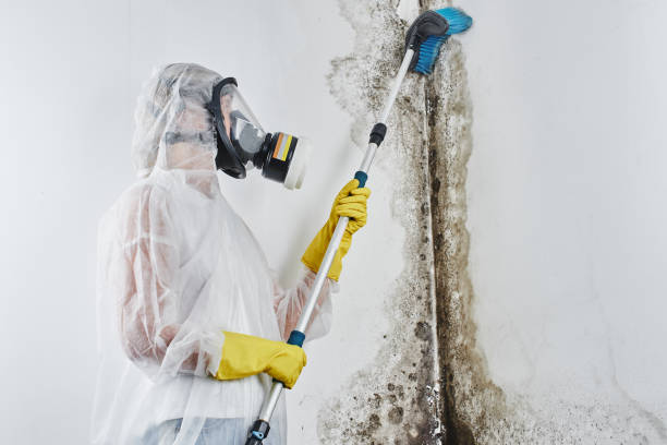 Best Post-Remediation Services in Herald, CA