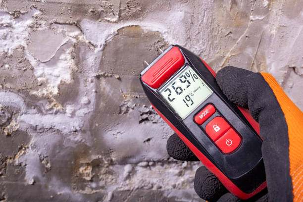 Best Residential Mold Remediation in Herald, CA