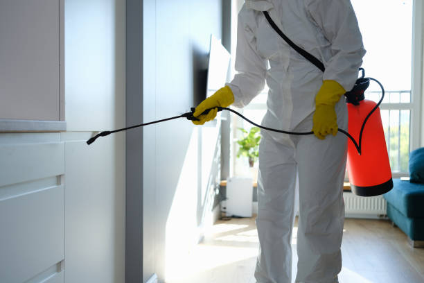 Best Health and Safety Mold Remediation in Herald, CA