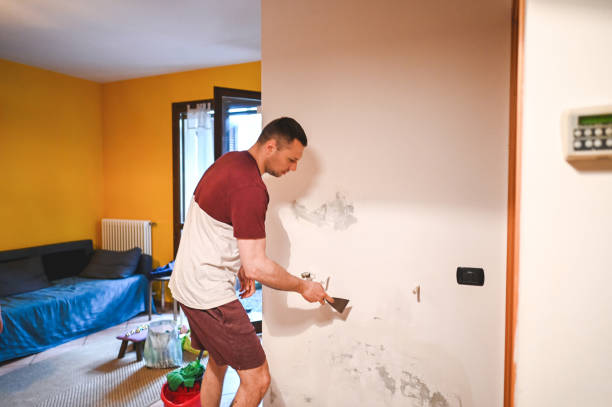 Trusted Herald, CA Mold Remediation Experts