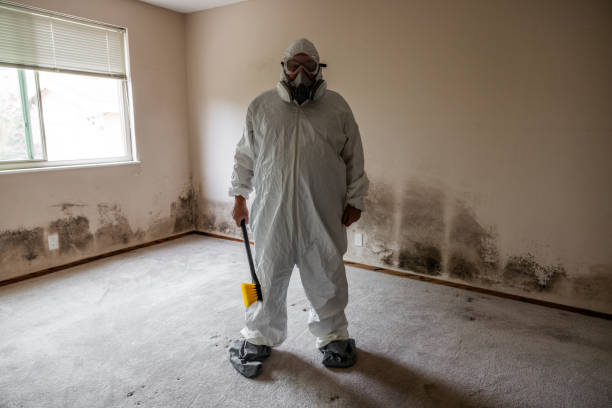Best DIY Mold Remediation Support Services in Herald, CA